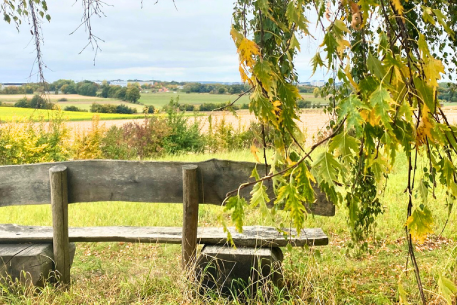 Rustplek met houten bank en uitzicht over de velden op het domein van Sint-Kamillus – symbool voor herstel en verbondenheid.